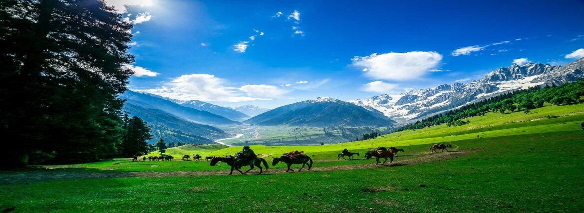 jammu-and-kashmir-trip Best Places to Visit in Jammu and Kashmir